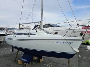 1997 Hunter Ranger 265