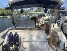 CRUISER 310 EXPRESS 2006