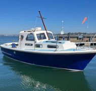 MITCHELL 31 Mk.1 SEA ANGLER