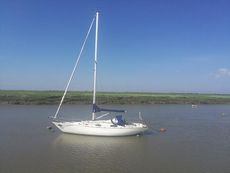 Contessa 32