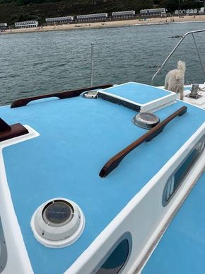 Stainless rails and Bollards