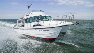2017 11.2m Cheetah Marine Catamaran