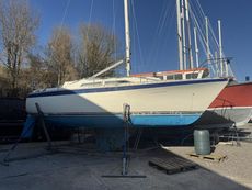 1982 Moody 29