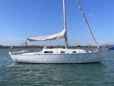Contessa 26 