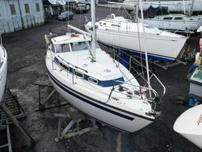Mascot 28 