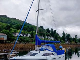 Hunter Ranger 245