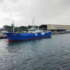26M LONGLINER