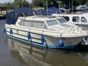 Bluebell Atlanta 24