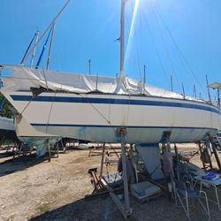 1979 Custom Built CONATI 31