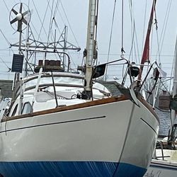 Kings Cruiser 29