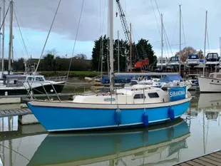 Samphire 26
