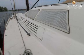 Picture 11