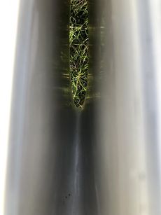 Laser ILCA 7&6, Includes New MkII Rig, Sail Number 196523