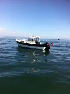 1999 Hardy 20 Pilot