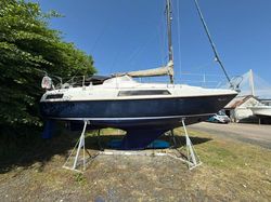 1979 Neptunus  32