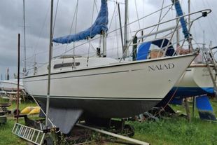 1986 Hurley 22