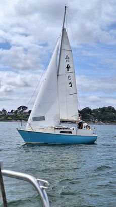 Jaguar 21