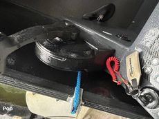 2022 Massimo Marine P23