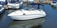Sealine 25