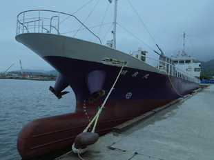 560DWT Cargo Vessel