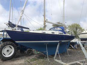 Overwintering ashore