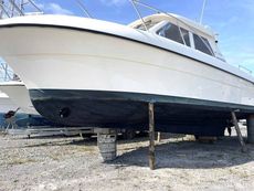 2002 Viksund 260 St Cruz