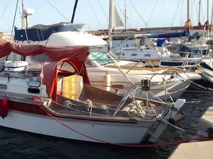 1981 Golden Hind 31