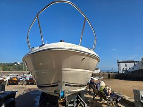 Sea Ray 245 Sundancer  - Bow