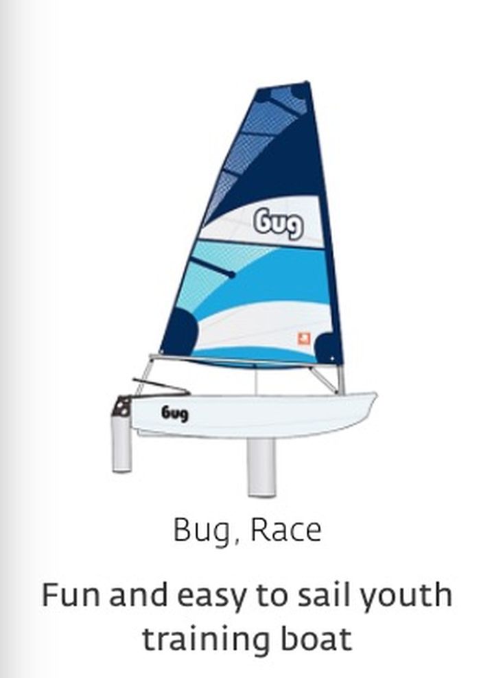 Bug Race