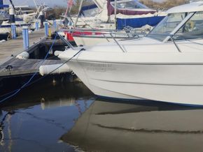 Sessa Dorado 22 Ocean - Bow
