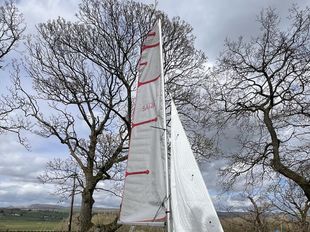 Laser Bahia