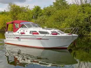 2019 Viking 295
