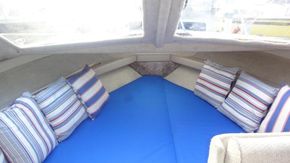 9168890 20231215055541458 1 XLARGE