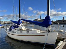 1981 Freedom 35