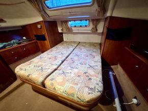 IMG 0952