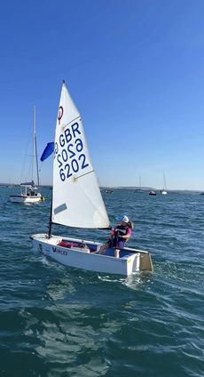 Optimist 6202