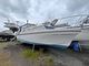 Residential Cabin Cruiser