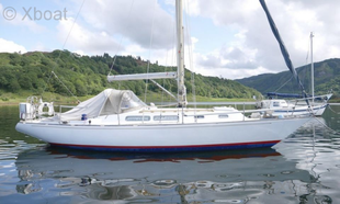 1970 HUSTLER 35