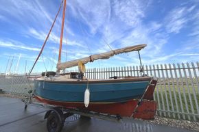 Cornish-Shrimper-back-2
