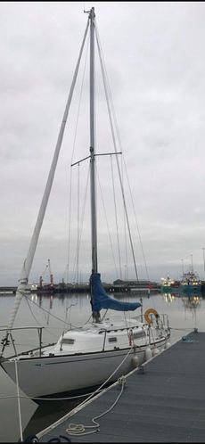 Hustler 30 Sailing Yacht