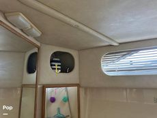1992 Sea Ray 350 Express Bridge
