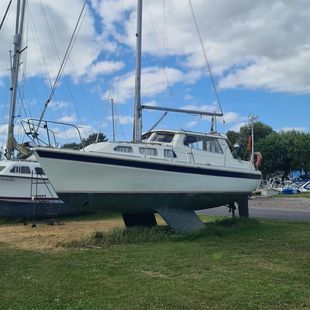 Westerly Konsort Duo ‘Snowgoose’