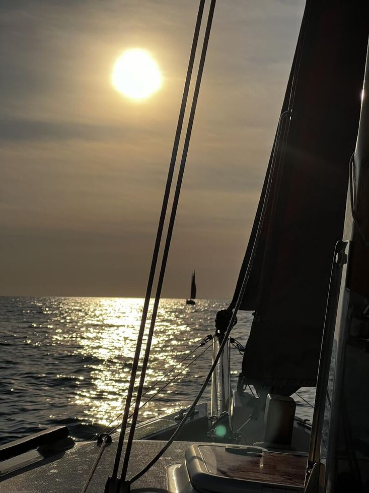 Cape Cutter 19