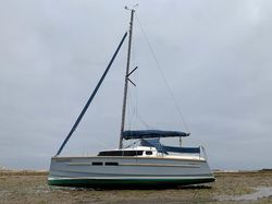 Swallow Coast 250