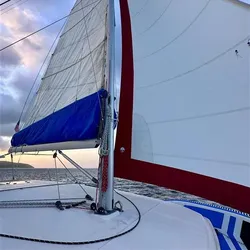 2018 Leopard 40