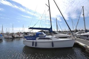 2002 Hunter Ranger 245