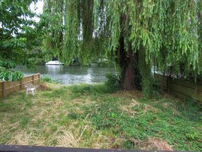 View from the plot