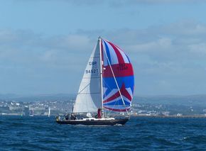 New Spinnaker