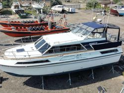 Broom Ocean 42