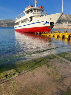 220PAX VINTAGE DAY CRUISER